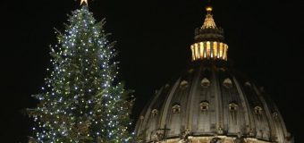 В Ватикане прошла презентация рождественской ели и яслей