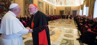 Папа Франциск немецким епископам: Церкви в Германии угрожают эрозия веры и чрезмерная институционализация