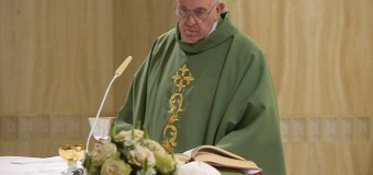 Папа Франциск о современных формах идолопоклонства и красоте Божьей