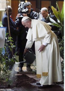 Папа Франциск сажает символическое дерево
