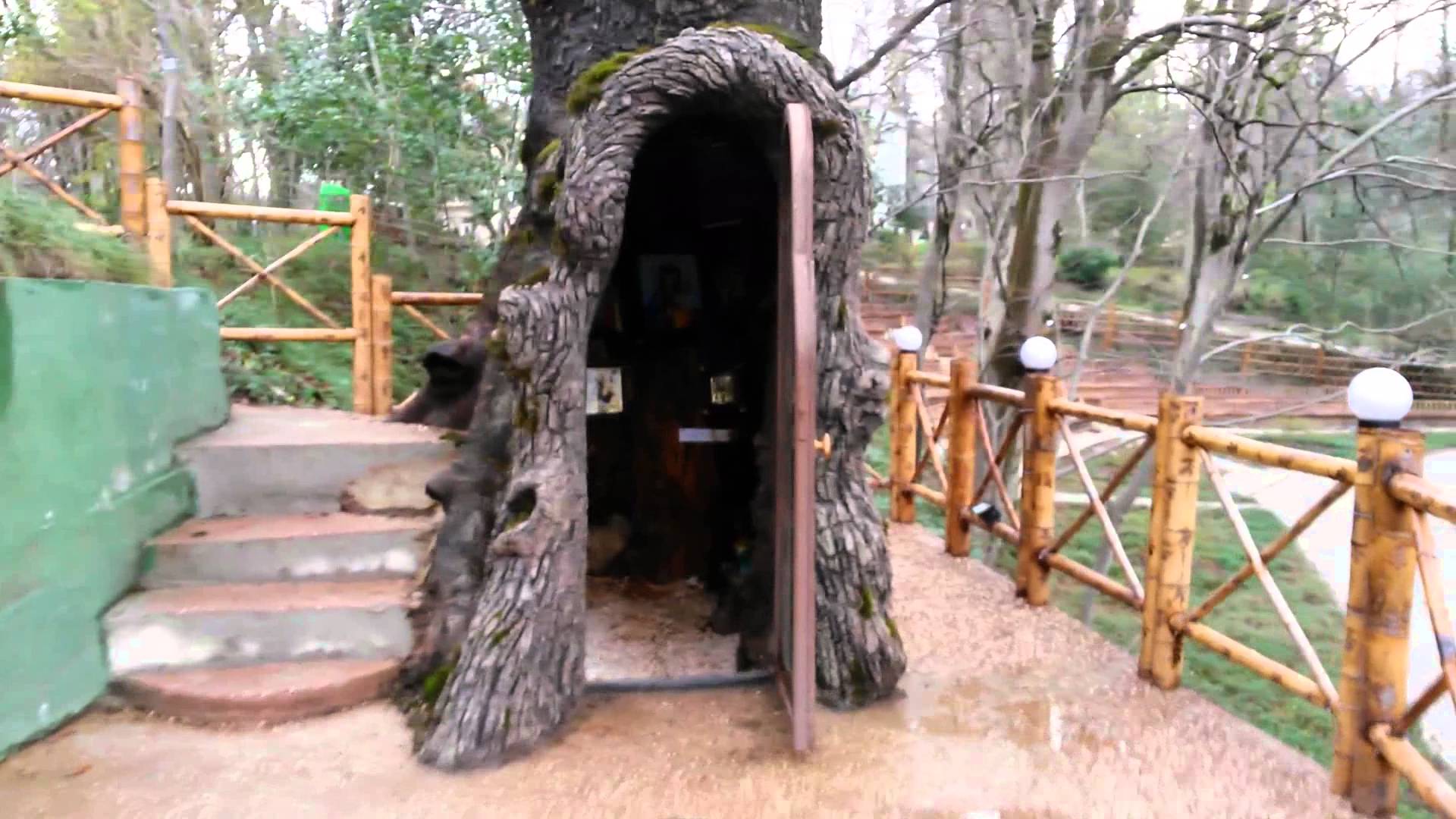 Внутри многовекового дуба в Грузии оборудовали молельню