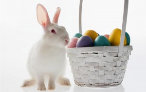 Корзинка с пасхальными яйцами и "пасхальный" кролик