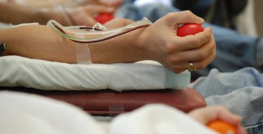 Рим: доноры крови получат льготные билеты в ватиканские музеи