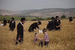 Набожные евреи в поле