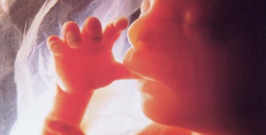 Минздрав введет специальные лицензии на проведение абортов