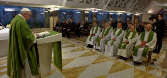 Папа: деньги и власть оскверняют Церковь, нет — карьеризму