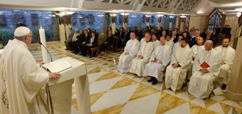 Папа: где христиане воюют между собой — там нет свидетельства