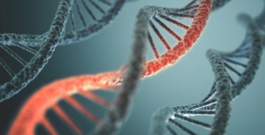 Ученым разрешены генетические эксперименты над человеком
