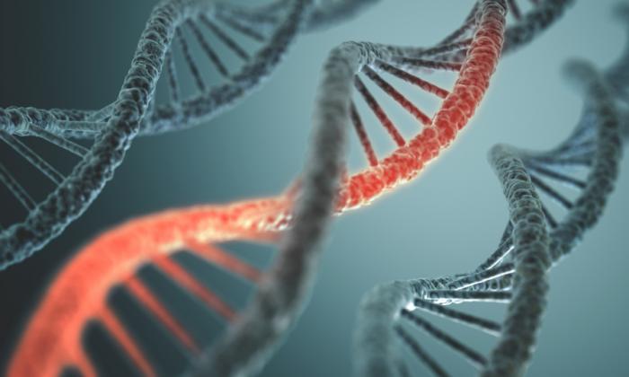 Ученым разрешены генетические эксперименты над человеком