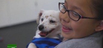 10-летняя глухая девочка из Калифорнии научила глухого щенка языку жестов (ВИДЕО)