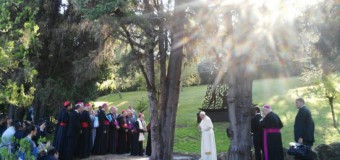 Папа благословил статую Богоматери Апаресиды и помолился за Бразилию (ФОТО + ВИДЕО)