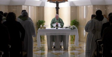 Папа Франциск: Царство Божье растёт со смирением