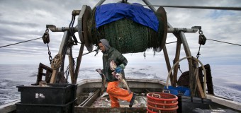 Кардинал Паролин: спасти рыбаков от принудительного труда и рабства