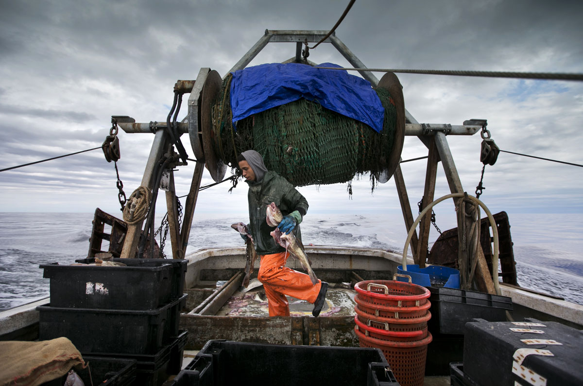 Кардинал Паролин: спасти рыбаков от принудительного труда и рабства