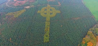 Ирландский лесник высадил деревья в форме креста (ВИДЕО)
