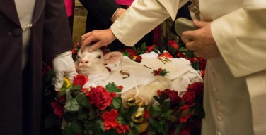 В день памяти святой Агнессы Папе преподнесли двух ягнят для паллиев