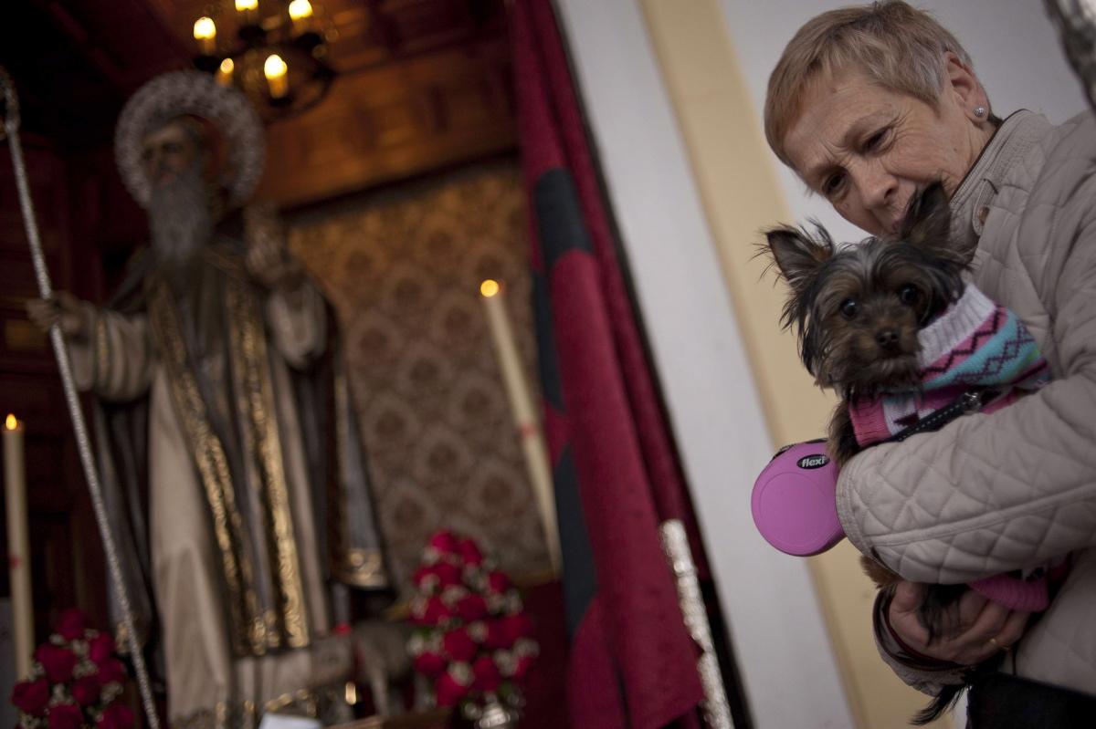 В Испании и Латинской Америке католики благословили домашних животных