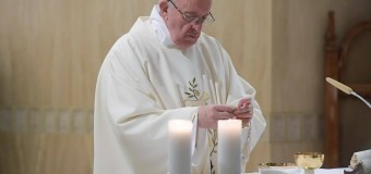 Папа: искушение побеждается молитвой