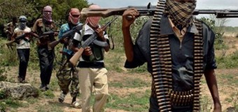 Более 900 церквей уничтожены исламскими террористами на северо-востоке Нигерии