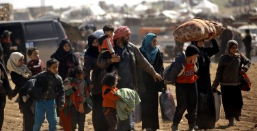 Папа пожертвовал 100 тысяч евро бедствующим в Алеппо