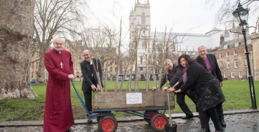 Лондонские церковные приходы высаживают деревья, чтобы сделать город зеленым