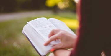 Согласно исследованию, Библия имеется у 87% американских семей