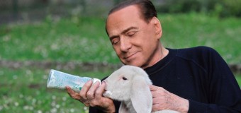 Берлускони спас ягнят с бойни и призвал к вегетарианской Пасхе (видео)
