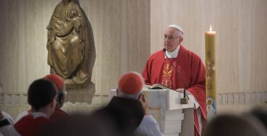 Папа: Евангелие возвещается не силой, а смирением