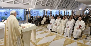 Папа: подлинное учение объединяет, идеология же ведёт к расколу