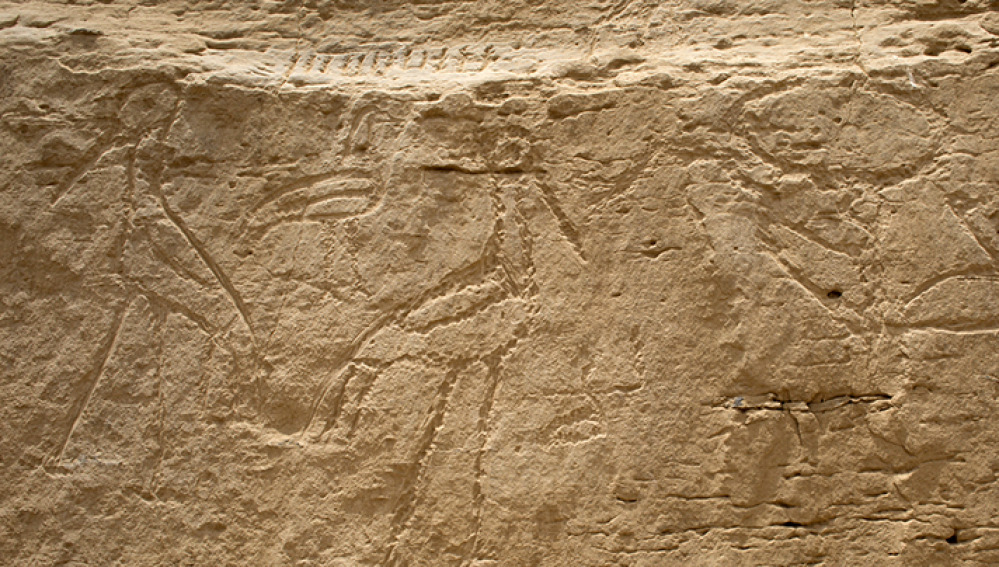 Обнаруженные в Египте иероглифы шокировали ученых