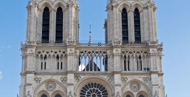 Пчелы собора Парижской Богоматери стали признаком благополучной экологии города