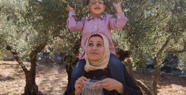 Христианский благотворительный фонд спонсирует проект высадки оливковых деревьев в Палестине