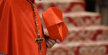 Совет кардиналов: в Римской Курии должно быть больше молодёжи и женщин