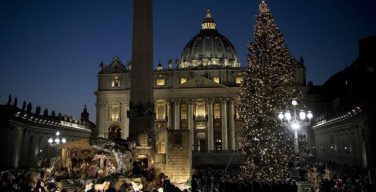 Рождественская ель в Ватикан приедет в этом году из Польши