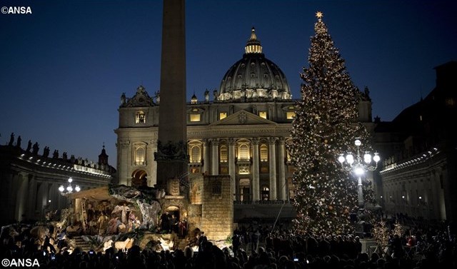 Рождественская ель в Ватикан приедет в этом году из Польши