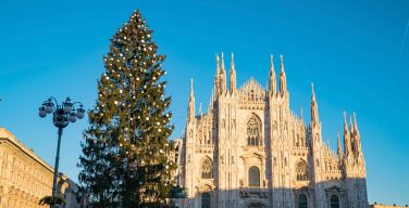 В Италии мигрант попытался снять крест с рождественской ели — СМИ