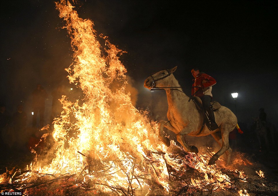 В честь святого покровителя животных в Испании прошла церемония огненного «очищения» лошадей