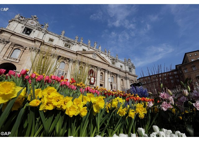 К Пасхе площадь перед собором Святого Петра превратилась в цветущий сад