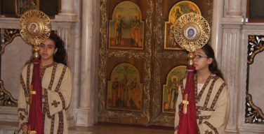 Рукоположение женщин в священный сан — ересь, влекущая отлучение от Церкви, заявил кардинал Брандмюллер