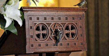В Британии церковь временно закрыли ради синиц – они вывели птенцов в кафедре викария