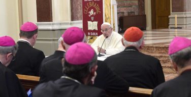 «Святейший Отец, Вы не одиноки!»: Епископаты разных стран выразили поддержку Папе Франциску