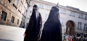 В Дании впервые оштрафовали мусульманку за ношение никаба в общественном месте