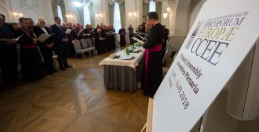 Папа — европейским епископам: ищите новые пути солидарности