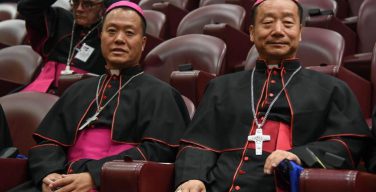 Епископы из Китая хотят видеть Папу Франциска в своей стране