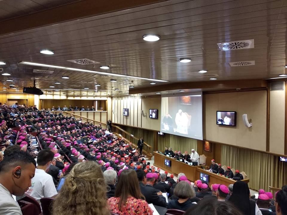 Новости с Синода епископов в Ватикане