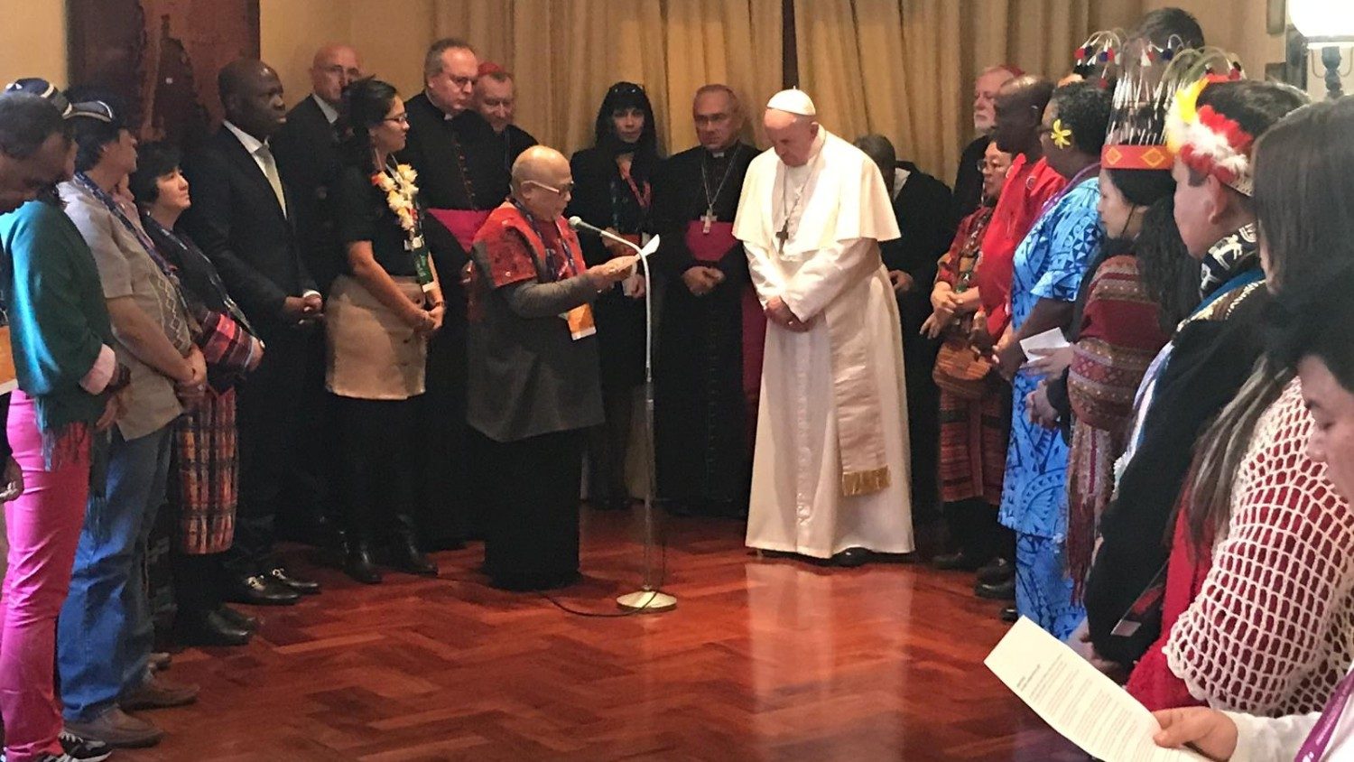 Папа встретился с представителями коренных народов