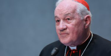 Кардинал Марк Уэлле: 30% кандидатов в епископы отказываются принять высокое служение