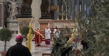 Папа Франциск возглавил Мессу Вербного воскресенья в соборе Святого Петра