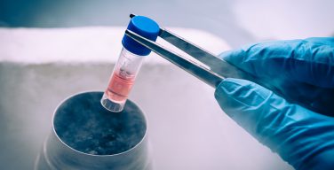 В РПЦ призвали не применять клетки эмбрионов для создания вакцин