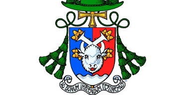 Описание герба вспомогательного епископа Архиепархии Божией Матери Николая Дубинина